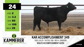 Lot #24 - KAR ACCOMPLISHMENT 349