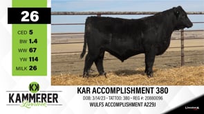 Lot #26 - KAR ACCOMPLISHMENT 380