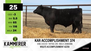 Lot #25 - KAR ACCOMPLISHMENT 374