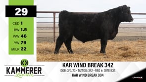 Lot #29 - KAR WIND BREAK 342