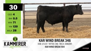 Lot #30 - KAR WIND BREAK 346