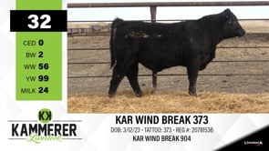Lot #32 - KAR WIND BREAK 373