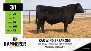 Lot #31 - KAR WIND BREAK 356