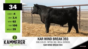 Lot #34 - KAR WIND BREAK 393