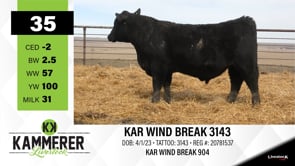 Lot #35 - KAR WIND BREAK 3143