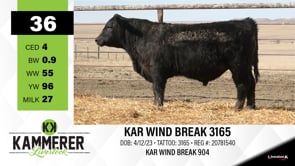 Lot #36 - KAR WIND BREAK 3165