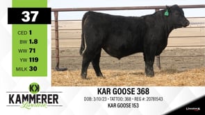 Lot #37 - KAR GOOSE 368