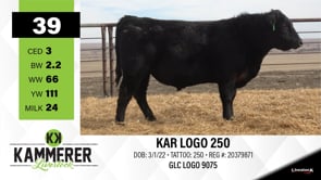 Lot #39 - KAR LOGO 250