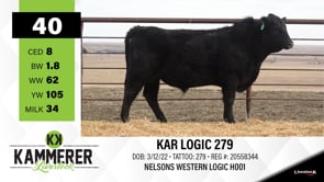 Lot #40 - KAR LOGIC 279