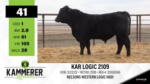 Lot #41 - KAR LOGIC 2109