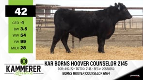 Lot #42 - KAR BORNS HOOVER COUNSELOR 2145