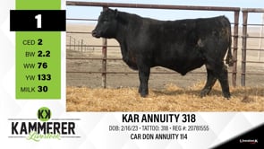 Lot #1 - KAR ANNUITY 318