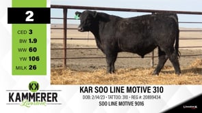 Lot #2 - KAR SOO LINE MOTIVE 310