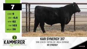 Lot #7 - KAR SYNERGY 317