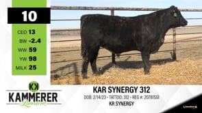 Lot #10 - KAR SYNERGY 312