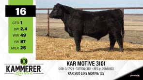 Lot #16 - KAR MOTIVE 3101