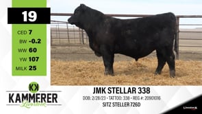 Lot #19 - JMK STELLAR 338