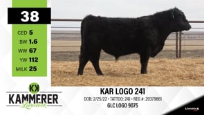Lot #38 - KAR LOGO 241