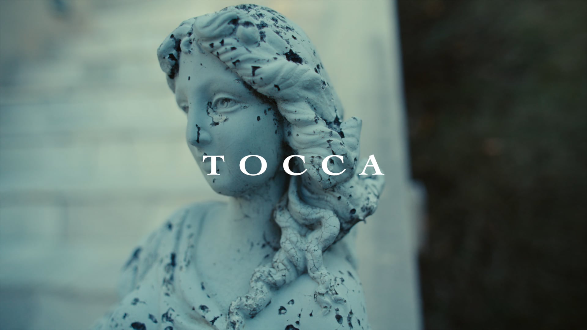 TOCCA 30TH ANNIVERSARY