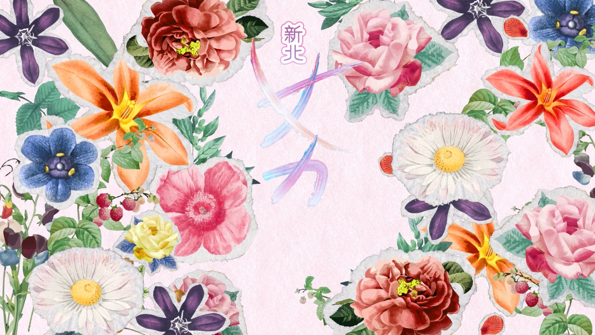 2024 新北市女力藝術節 ｜預告動畫 | 錄人Passer