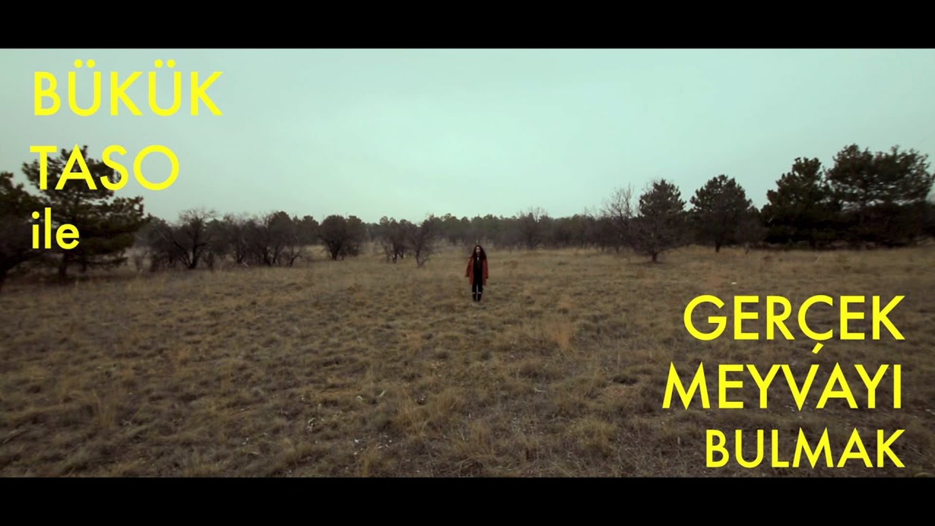 Bükük Taso - Bağlıca Bulvarı 2