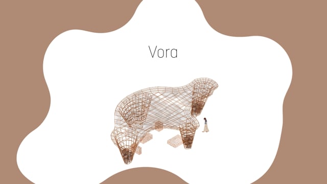 Vora