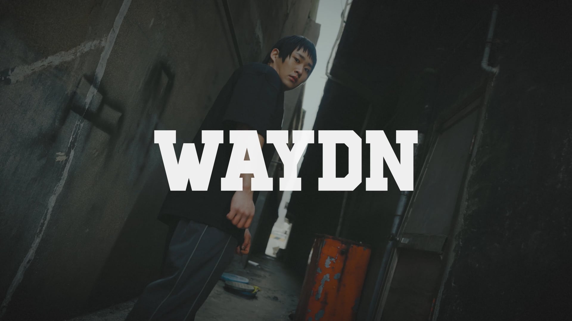 WAYDN X 노익스강