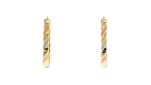 14kt Tri-Colored Gold Oval Hoop Earrings