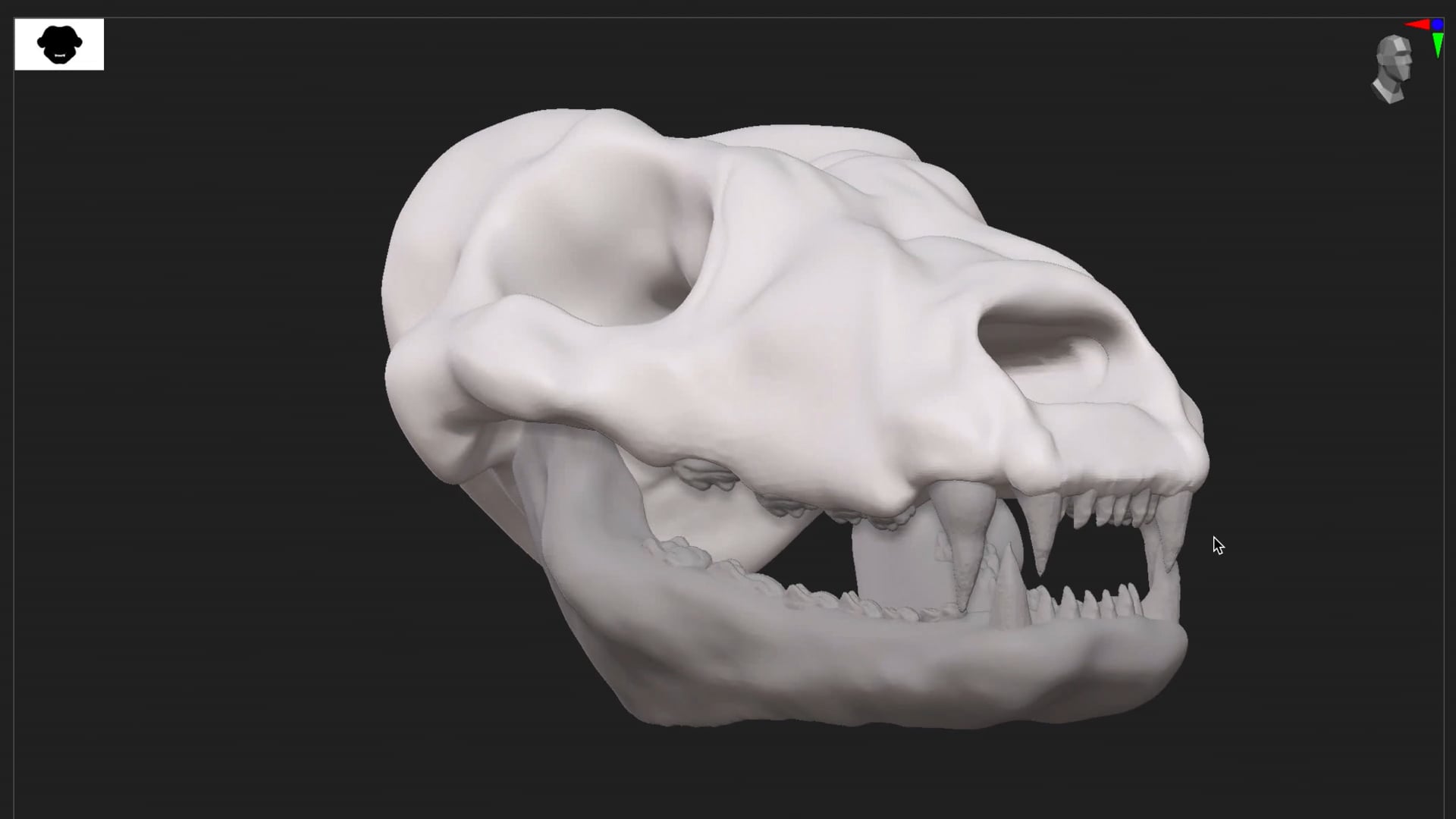 TIMELAPSE_skull