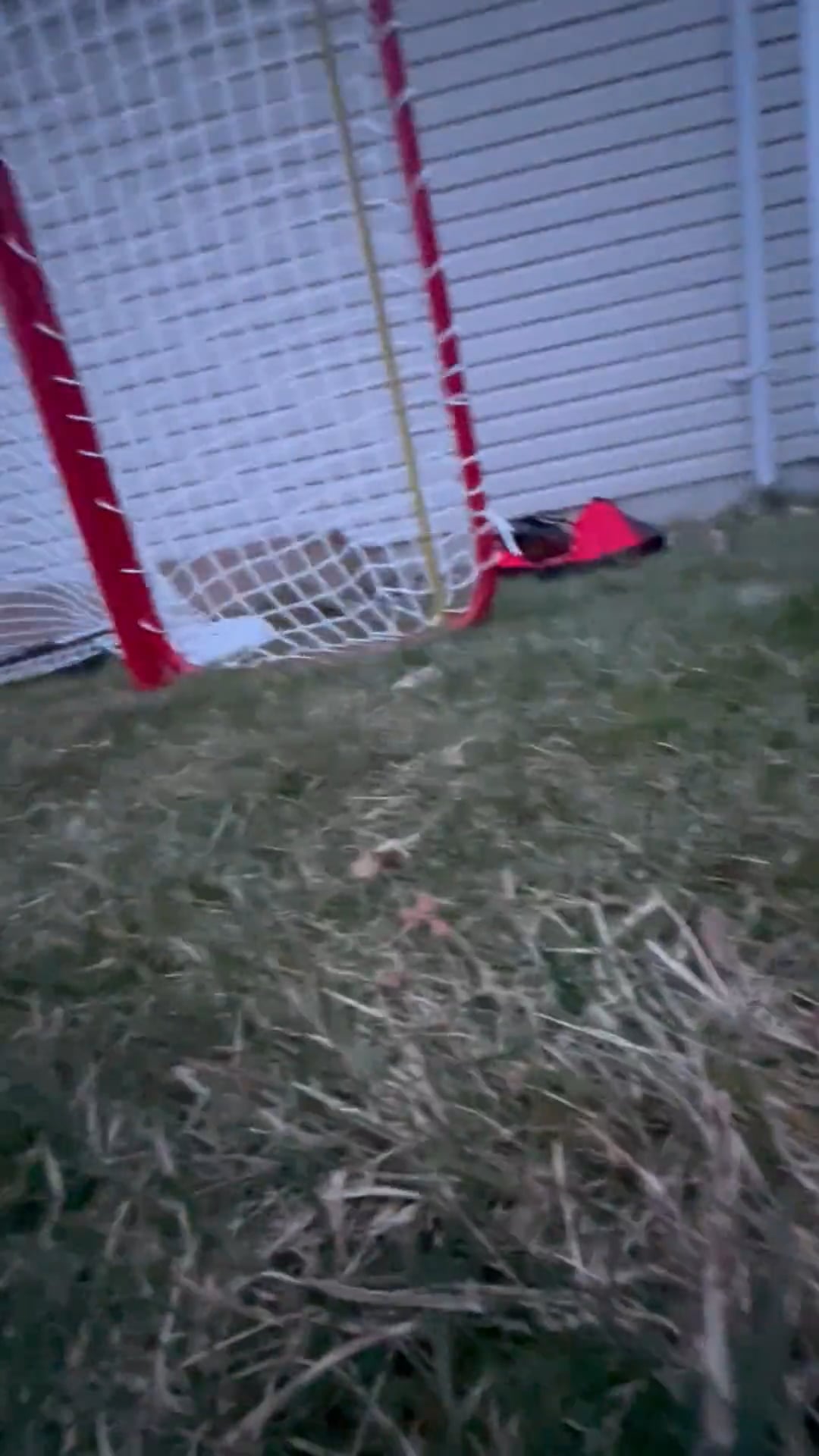 Watch spencer brabant's Vertical Jump: 30.01 inches