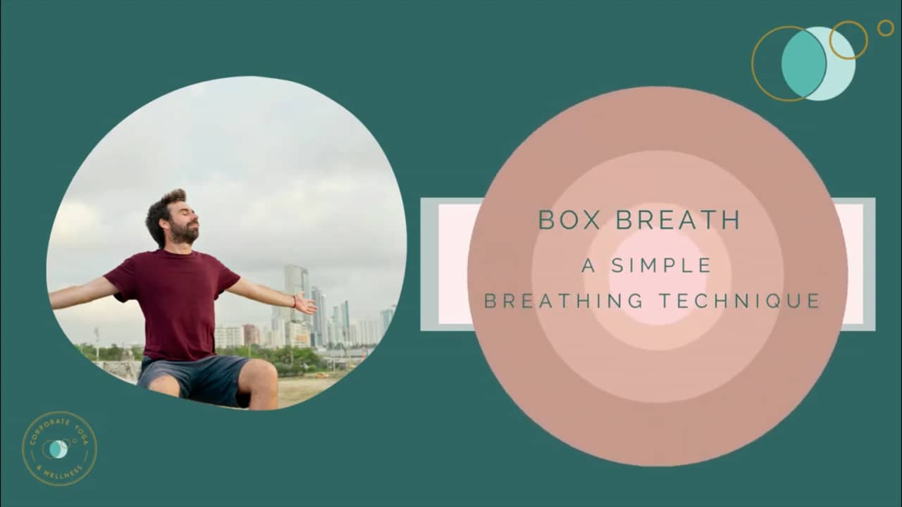 Box Breathing: A Powerful Tool For Mental Clarity And Strength On Vimeo