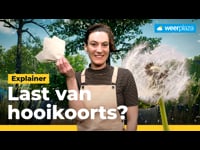 Alles over hooikoorts