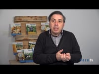 Alberte Momán (Calfensa)