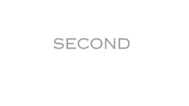 SECOND LIFE