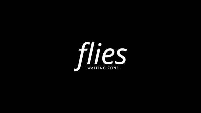 FLIES