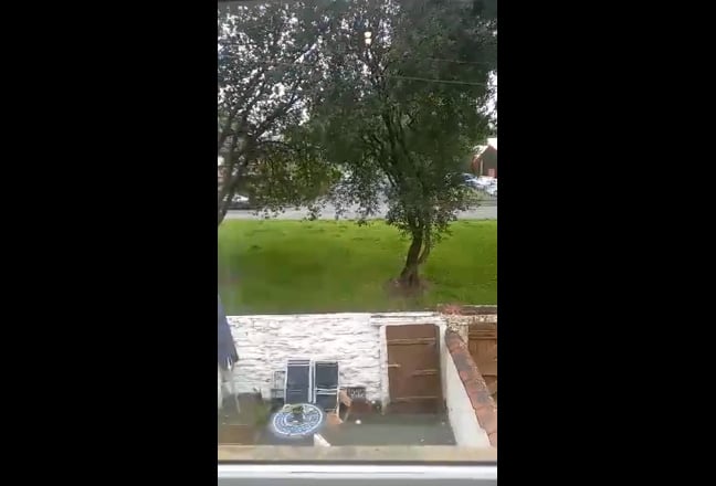Video 1: