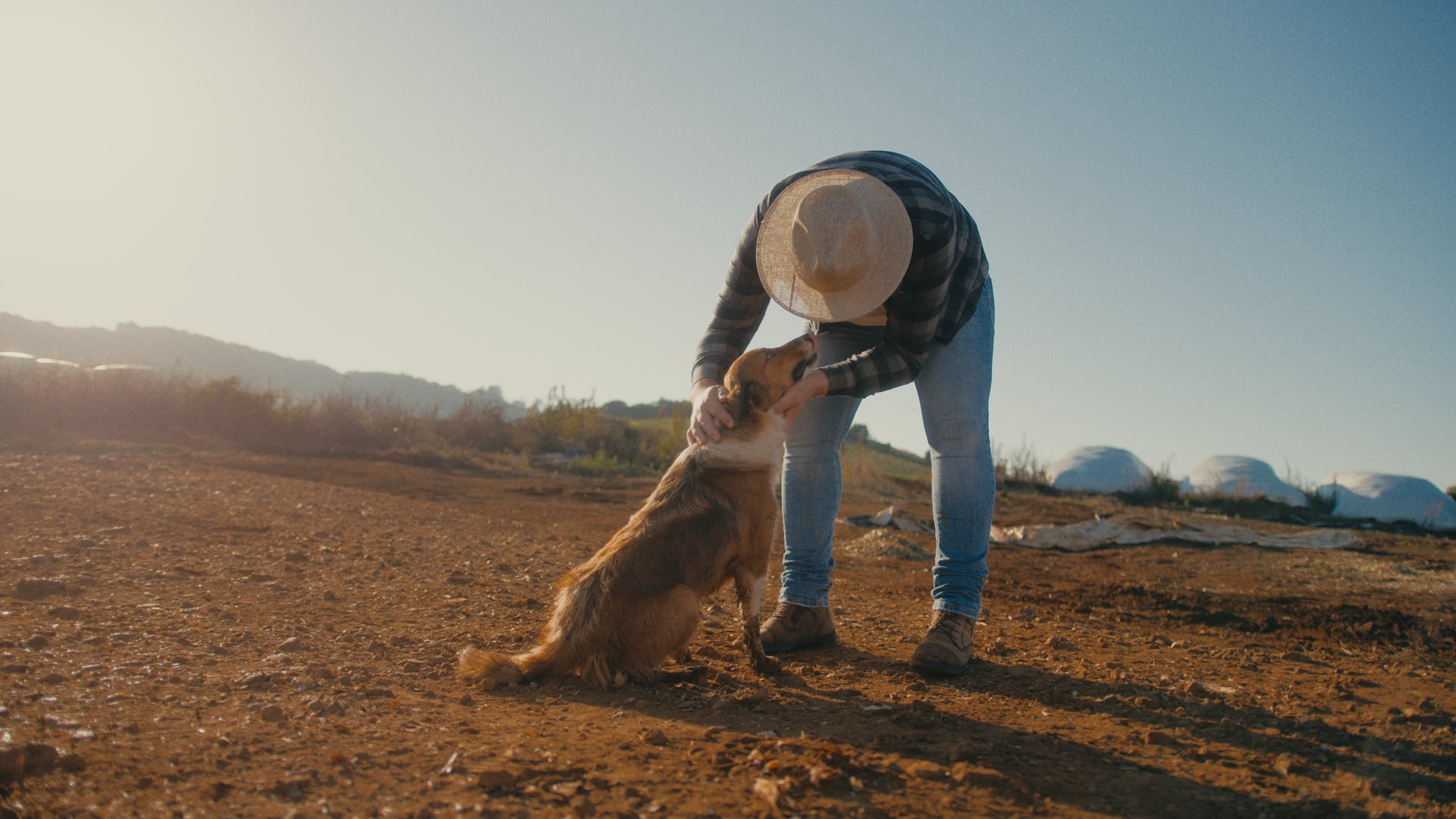 Filme Agrivett - 10 anos