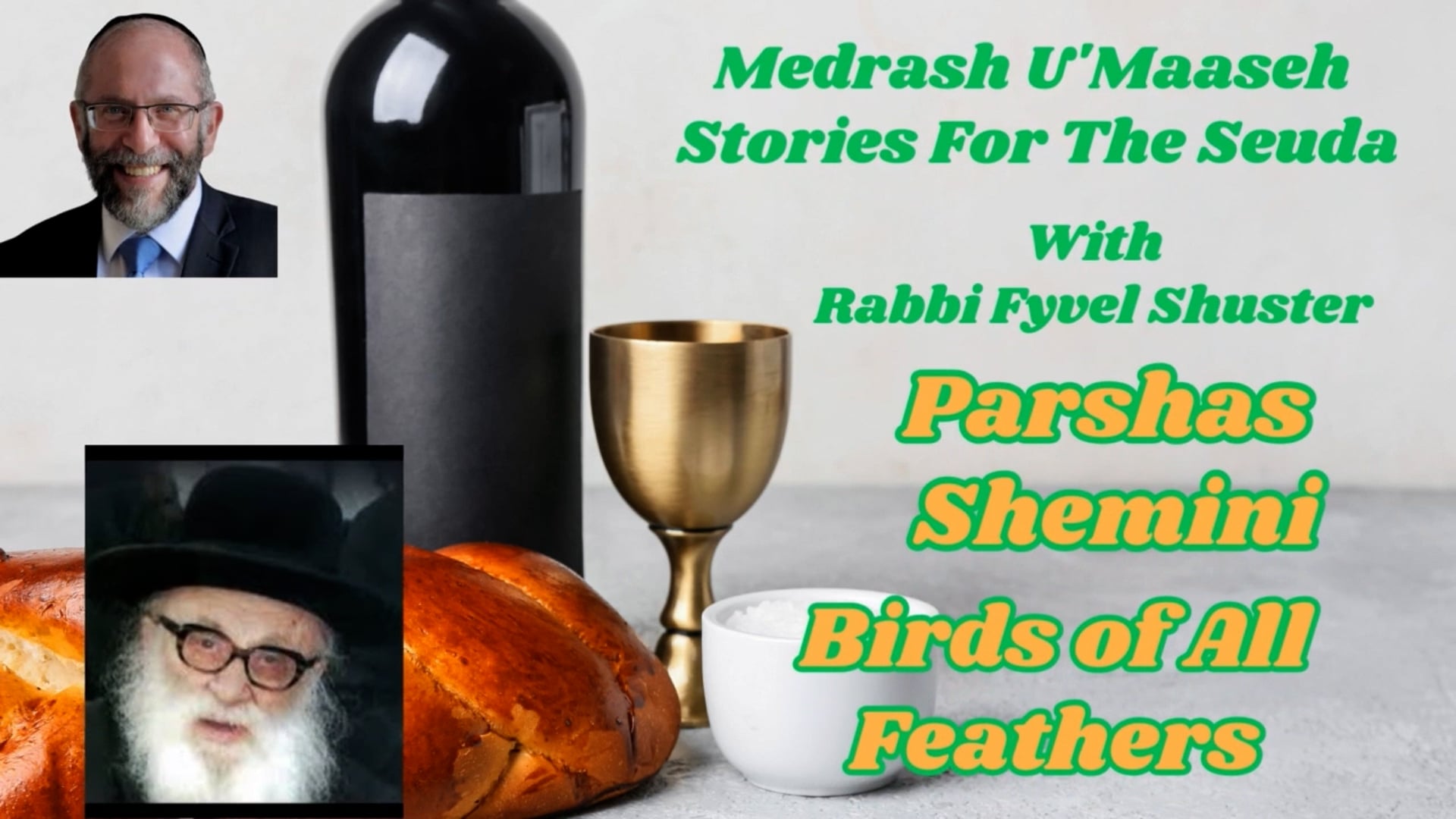 Parshas Shemini - Birds of All Feathers