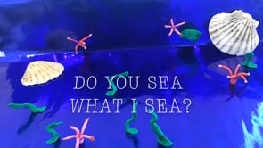 Do you sea what I sea?