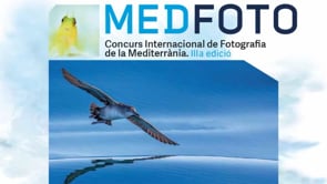 Comença a caminar el MedFoto 2024