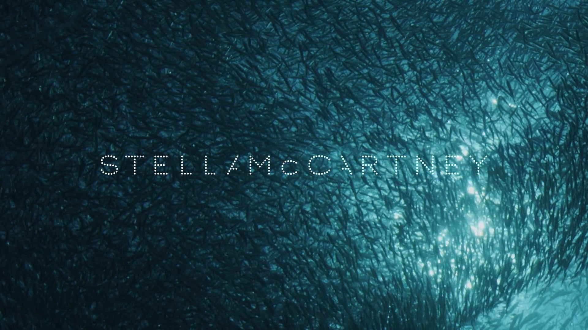 Stella McCartney x Sea Shepherd_ Directors Cut.mov