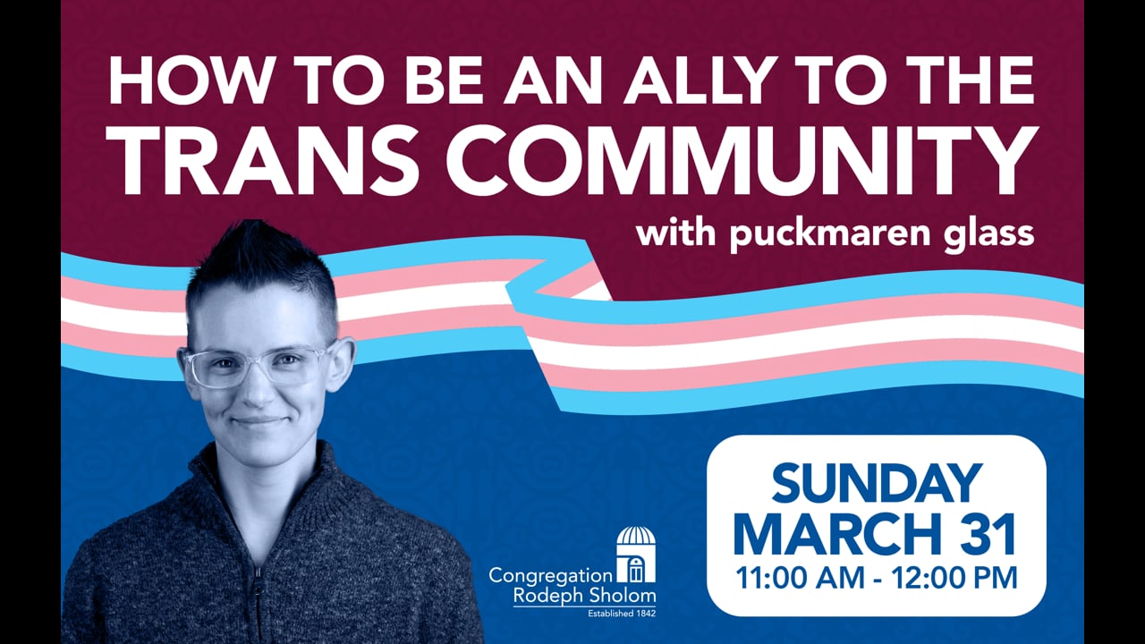 How To Be an Ally to the Trans Community