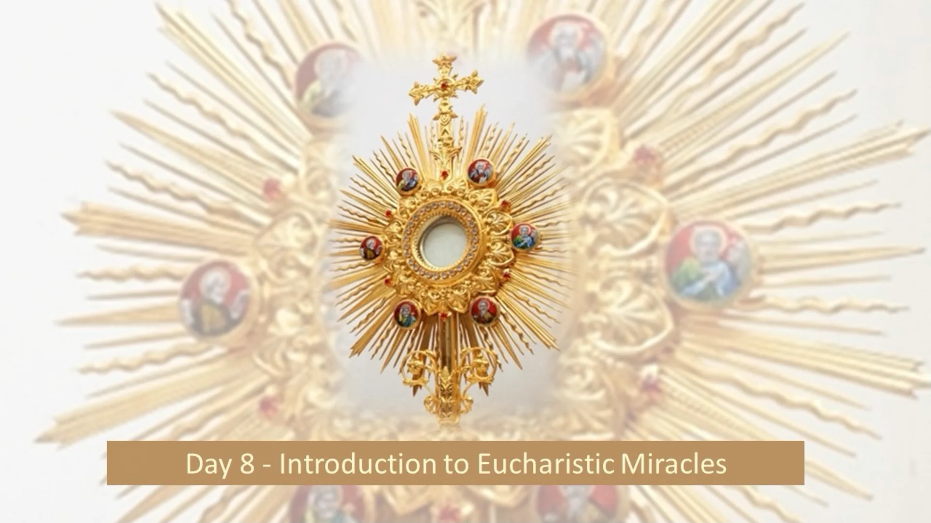 Day 8 - Introduction to Eucharistic Miracles Sacred Heart Church’s ...