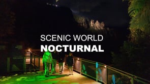 Scenic World Nocturnal VNR