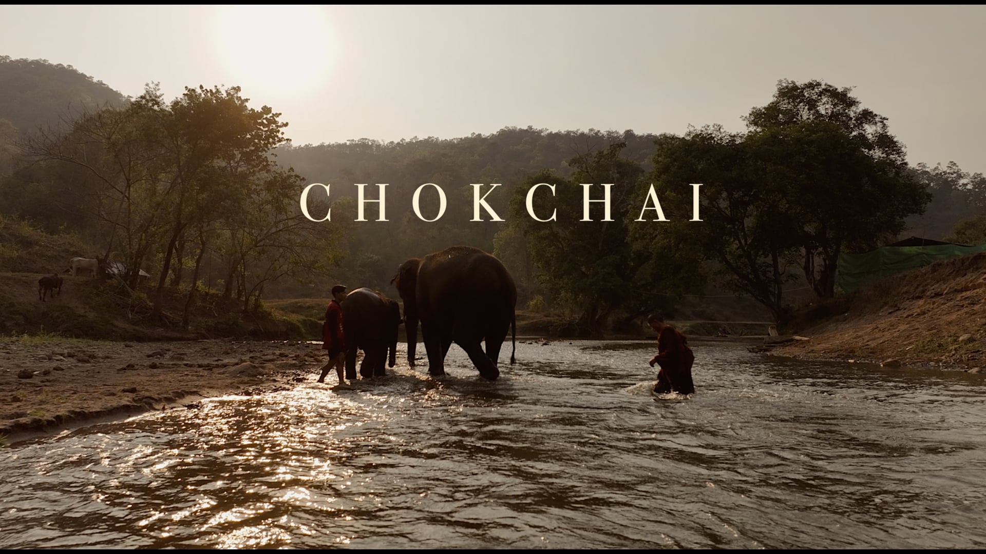 CHOKCHAI