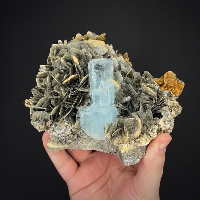 Gem Aquamarine & Muscovite (New Find)