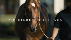 Greatest Honour | :30 Commercial