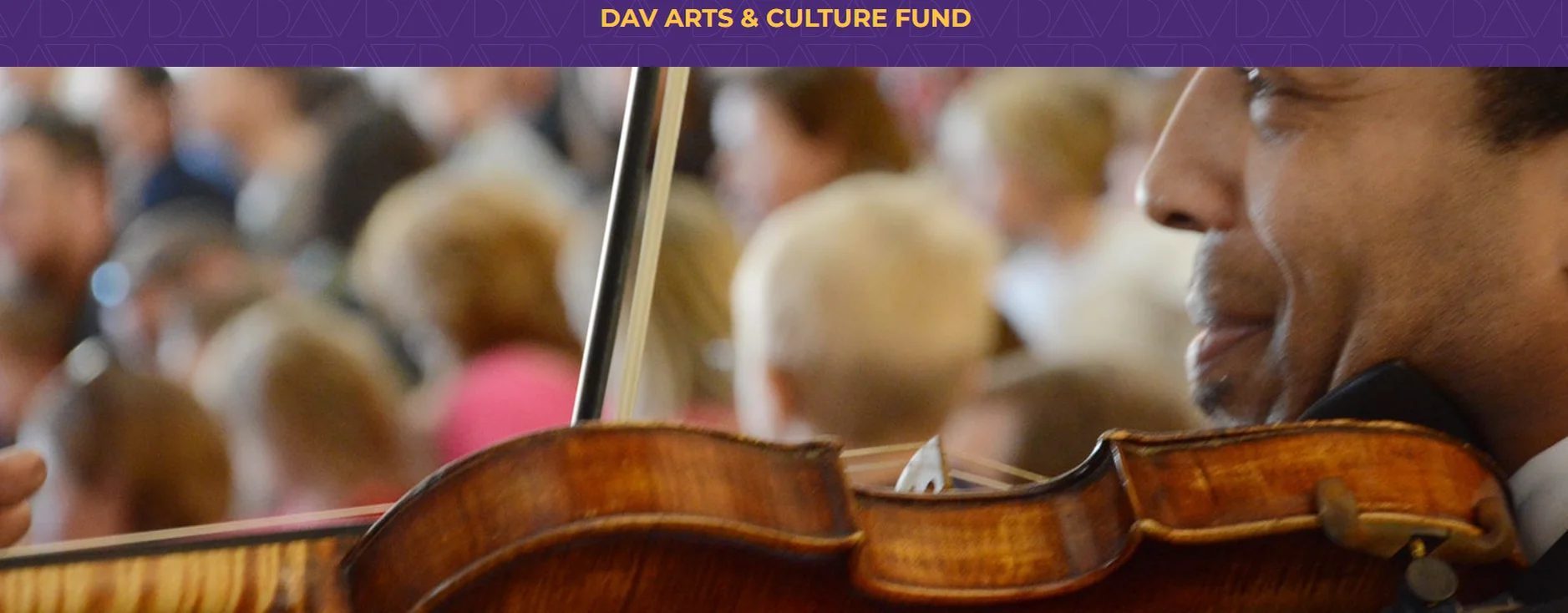 DAV Arts & Culture Fund Pre-Application Meeting