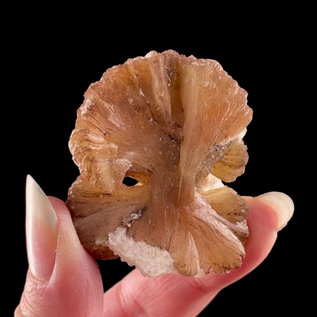 Stilbite-Ca (''bow tie''-shaped group) (Collected: 1940s)