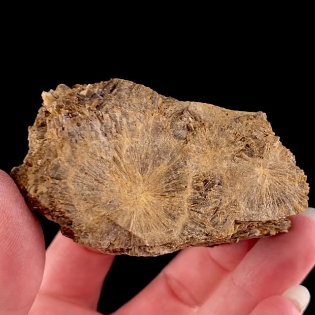 Vesuvianite (''Egeran'') (rare old locality specimen)